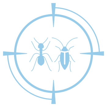 Kills effectively crawling insects